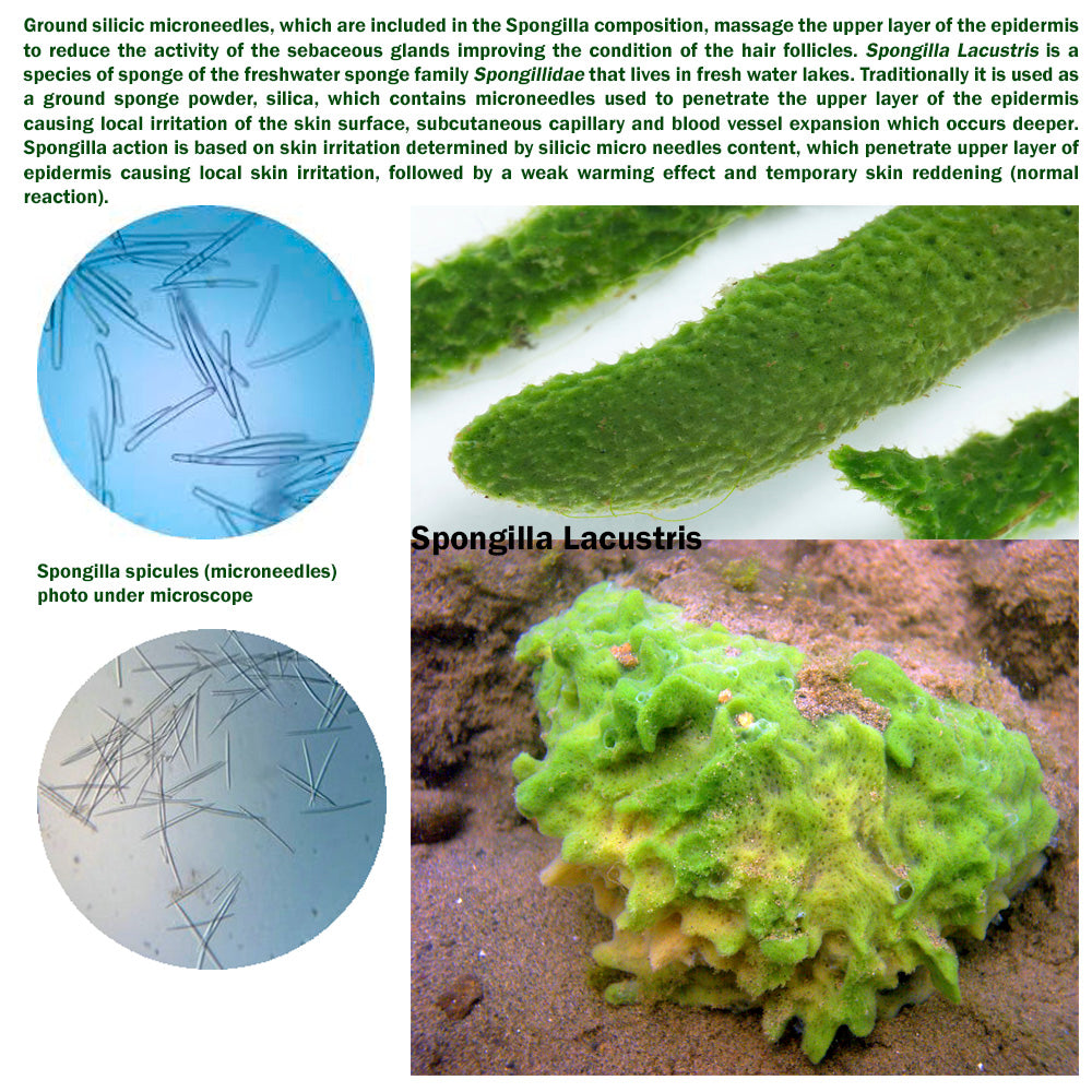 Hair Loss Scalp Treatment Gel-Mask with Spongilla, Saw Palmetto & Cayenne. 2.54 FL OZ / 75 ml