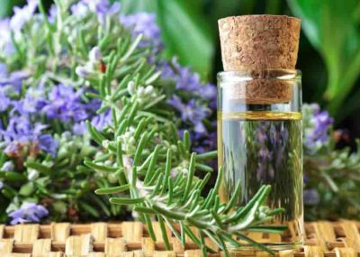 Do You Know These 6 Health Benefits & Uses for Rosemary Essential Oil?